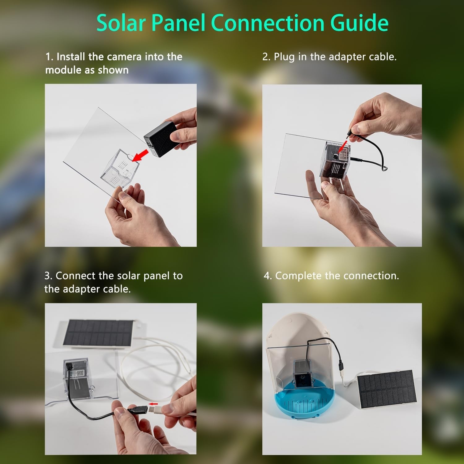 Smart Bird Feeder with 2K Live View Camera & AI Identify with Solar Panel