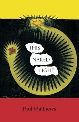 This Naked Light Buch Troubador Publishing Ltd