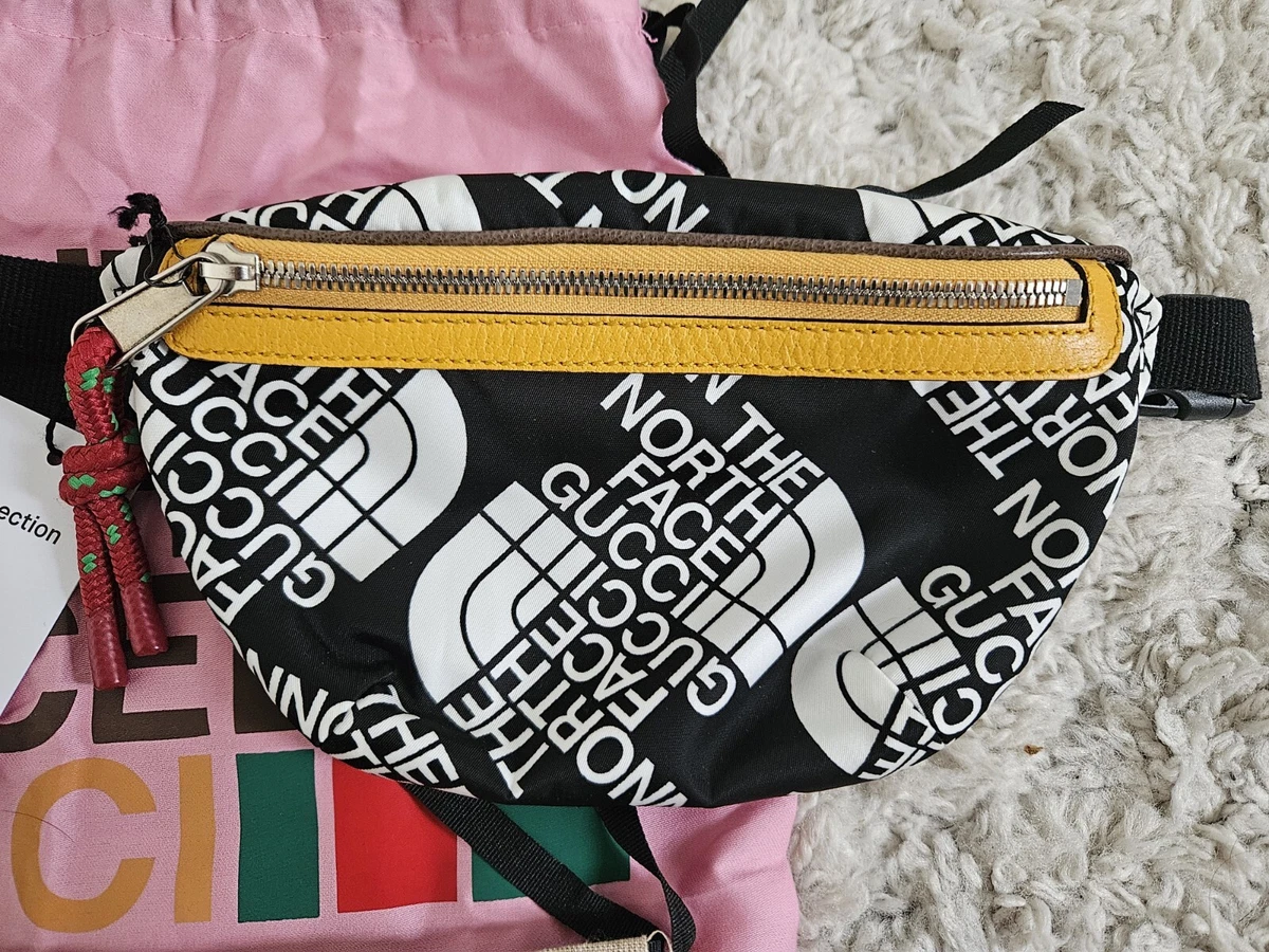 the north face x gucci bag