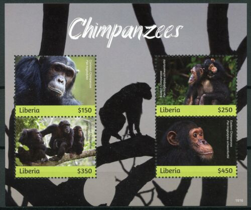Liberia 2019 Mnh Chimpanzees 4v M/S Mammals Apes Wild Animals Stamps