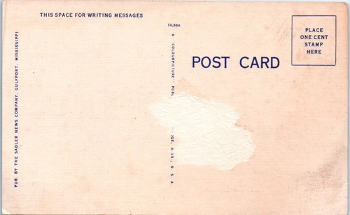 Beautiful Double Lane Boulevard Along the Gulf Coast Linen Postcard Unposted - Picture 2 of 2
