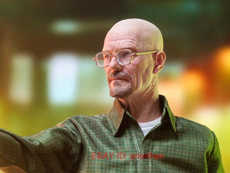 Custom Breaking Bad Walter Hartwell White 1/6 Scale Action Figure