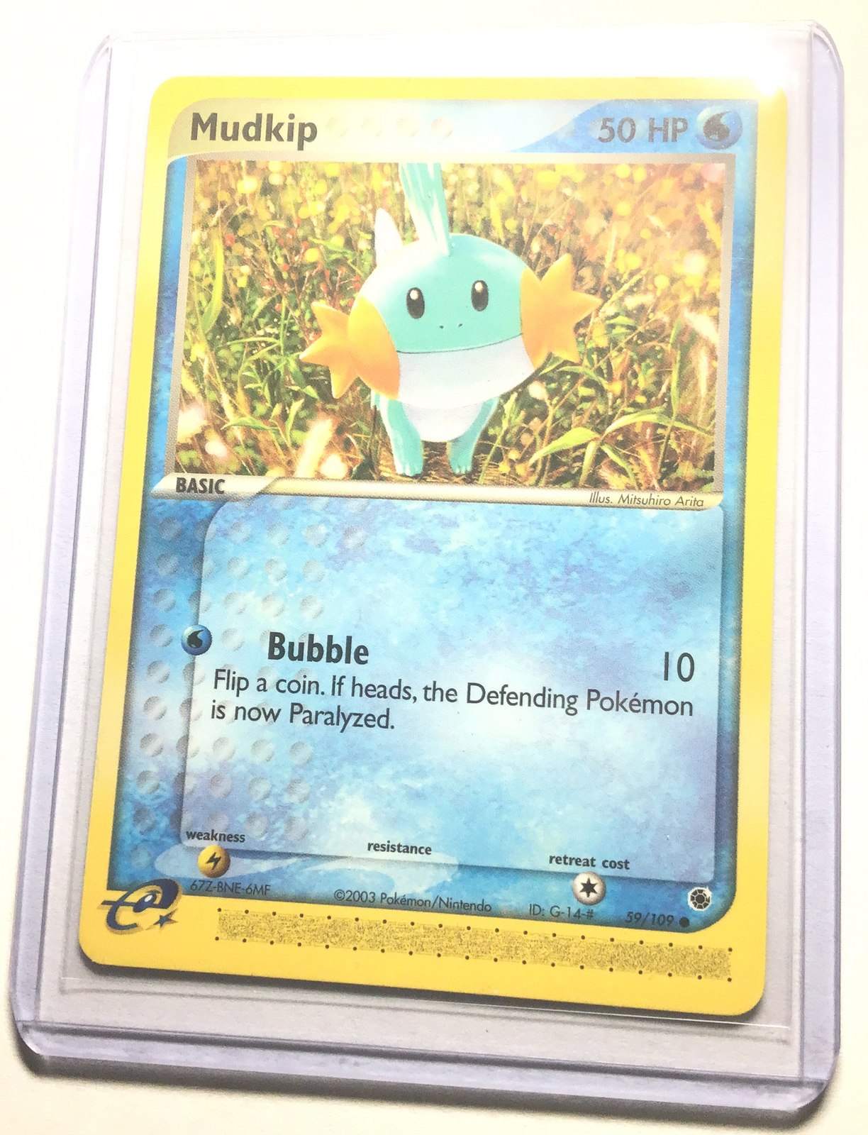MUDKIP - 59/109 - Ruby & Sapphire - Common - Pokemon Card - NM