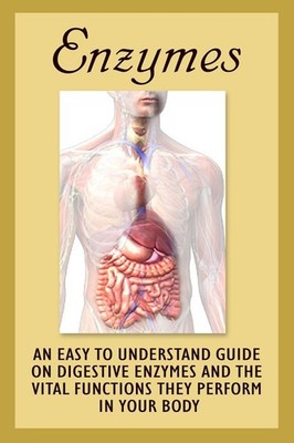 Enzymes: An Easy To Understand Guide On Digestive Enzymes And The Vital Function