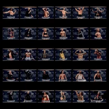 2022 SkyBox Metal Universe AEW Palladium Complete Set 30 Cards Sting CM Punk Tay