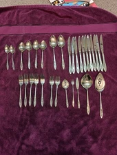 ONEIDA Community Stainless Flatware Lot VIGNETTE, 31 NICE  Pieces