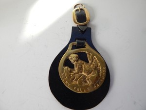 Vintage Leather Strap 1 English Brass Horse MEDALLION Bridle Equestrian DARTMOOR