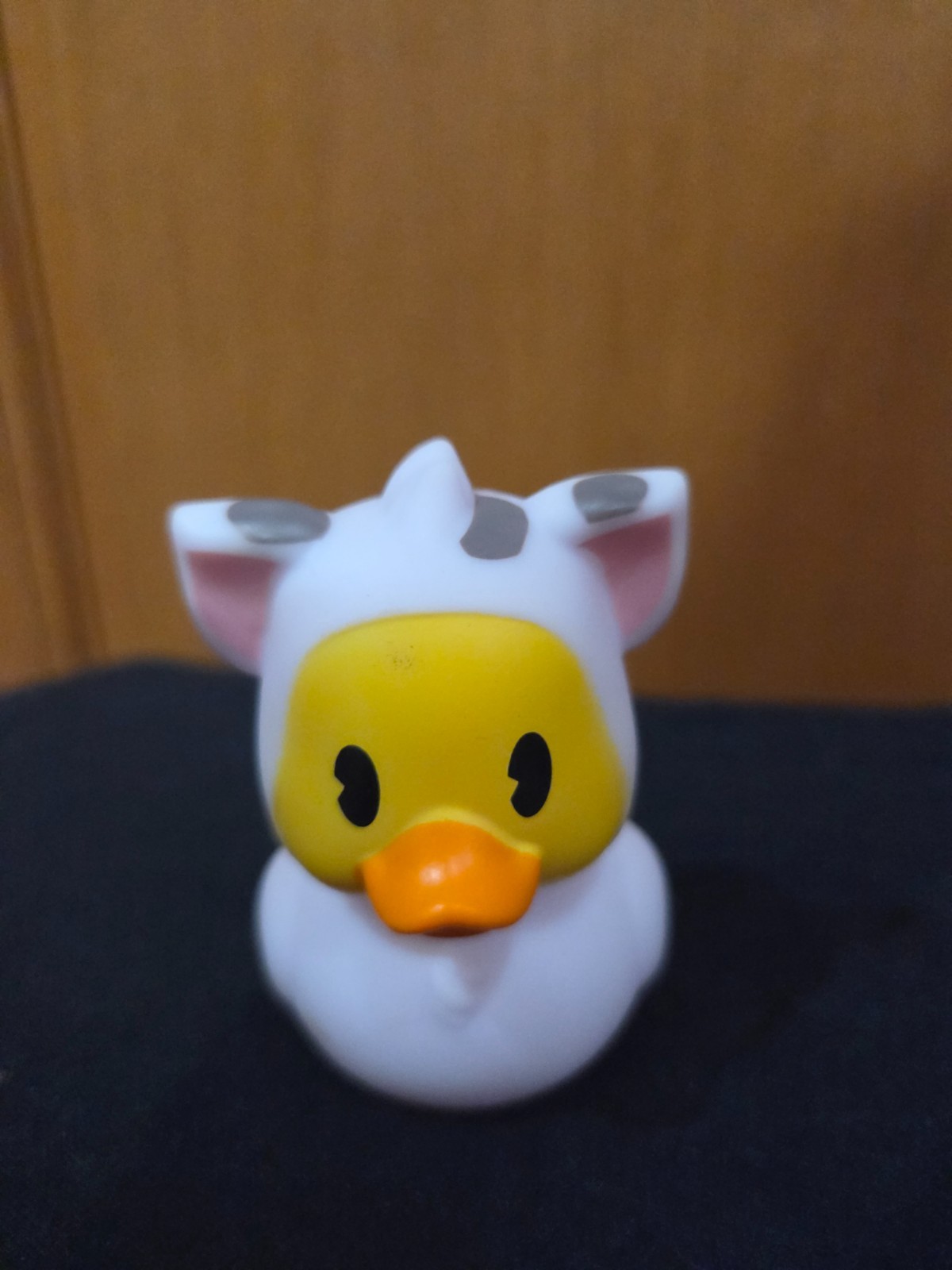 Picture 17 of 25