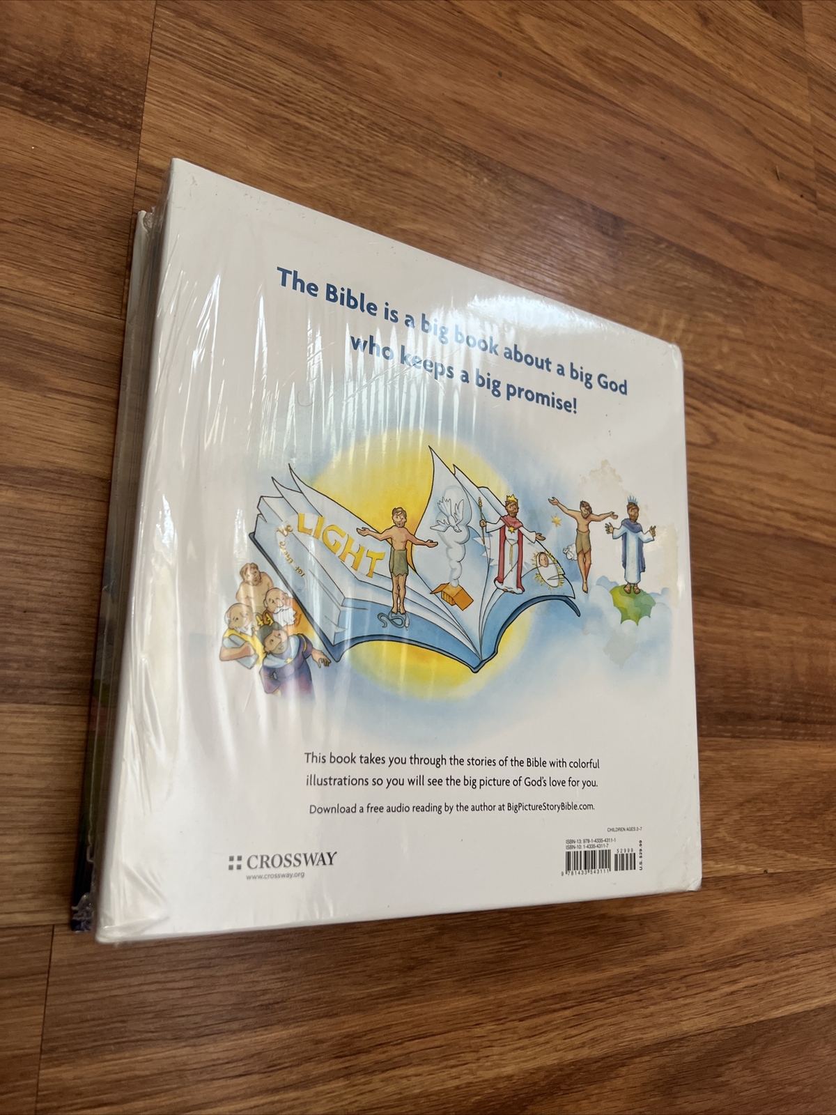 The Big Picture Story Bible 9781433543111| eBay
