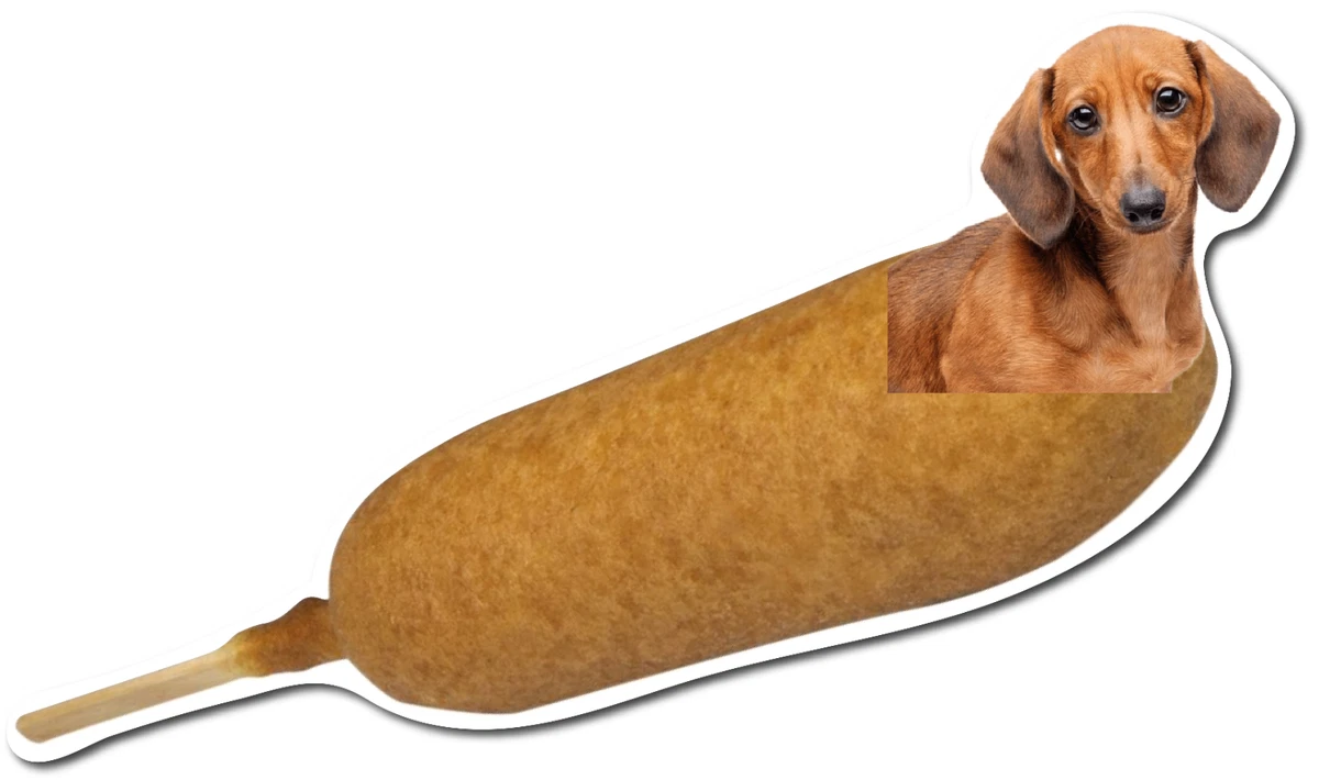 Funny weenie dogs cheap