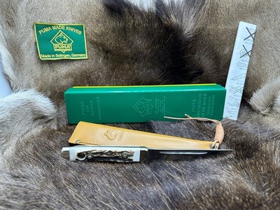 1979 Puma 6383 Vintage Buddy Knife With Stag Handles - Mint In G / Y Box A2