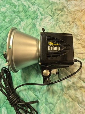 Paul C Buff Alien Bees B1600