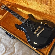 FERNANDES APG-100 for sale - Price and Used Value