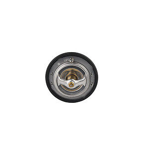 172f/78c Thermostat  Aisin  THF002