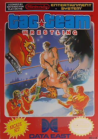 Tag Team Wrestling (Nintendo Entertainment System, 1986)