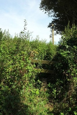 Foto 6x4 Pfahl auf Gales Hill Minterne Parva vom gleichen Punkt aus gesehen a c2017