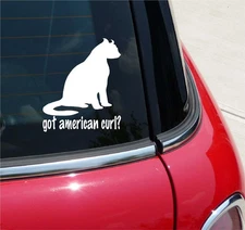 GOT AMERICAN CURL? CAT GRAPHIC DECAL STICKER ART CAR WALL DECOR