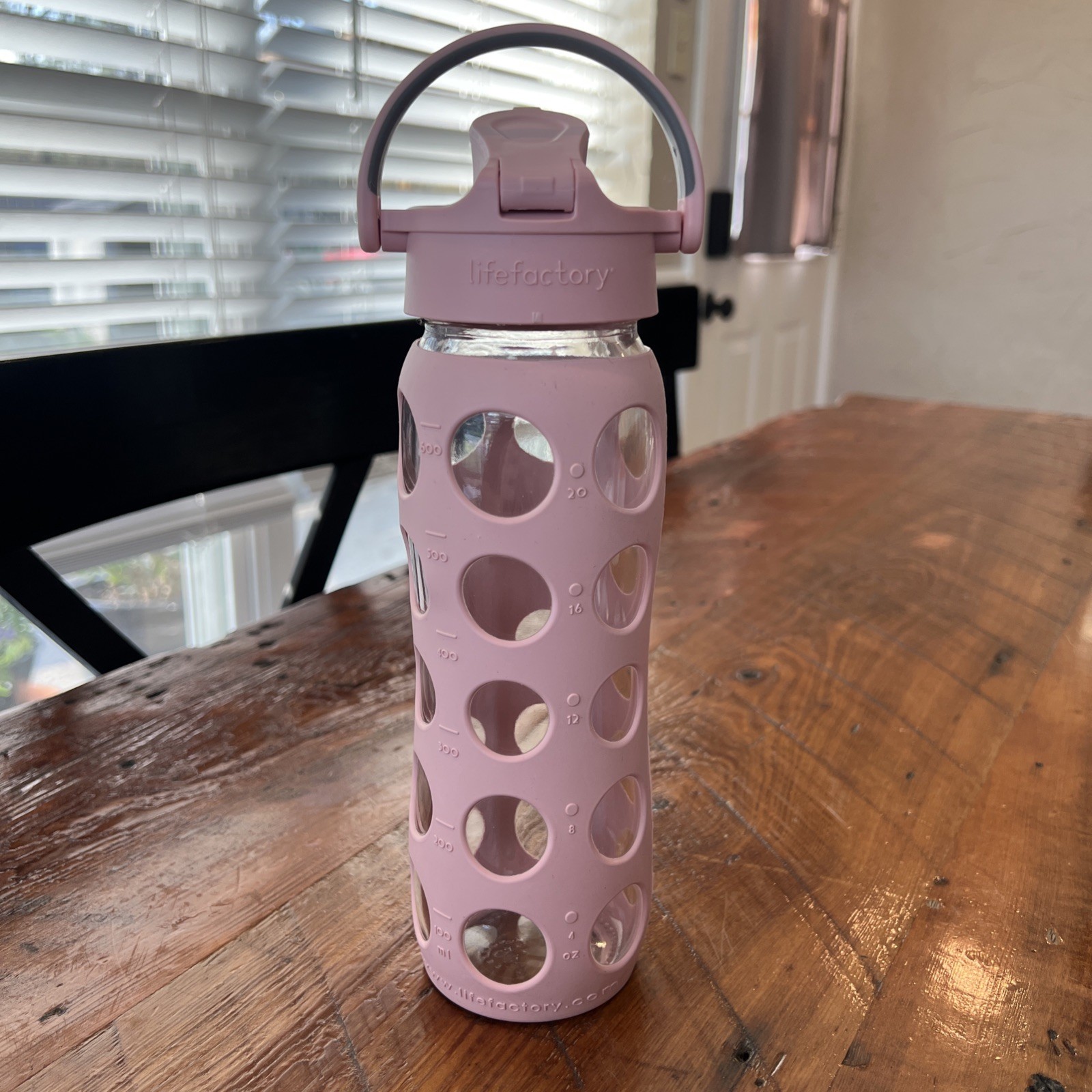 Life Factory 22-Ounce Glass Water Bottle with Active Flip Ca