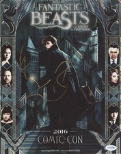 "Fantastic Beasts and Where to Find Them" Cast AUTOGRAPH Signed 11x14 Photo C