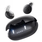 Rechargeable Digital Hearing Aids Invisible ITE Mini Sound Voice Amplifier Pair