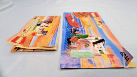 LEGO Pirates: Armada Sentry (6244) & Skeleton Crew (6232) 99.9% complete