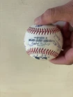 2024 Chicago Cubs Team Signed Baseball Spring Training Shaw Steele Imanaga