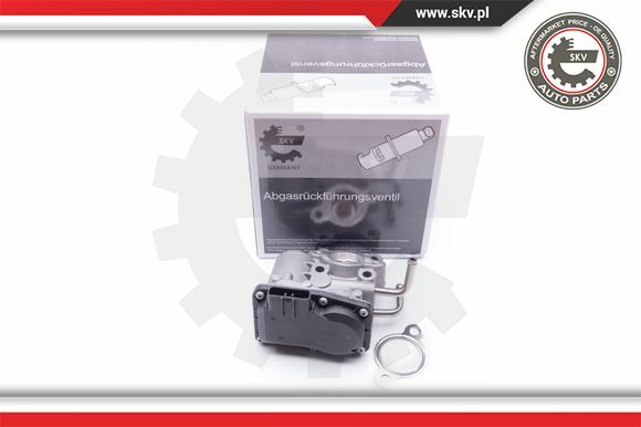 Esen SKV Agr-Ventil Elektrisch FüR Subaru Forester Legacy V Station Wagon-image