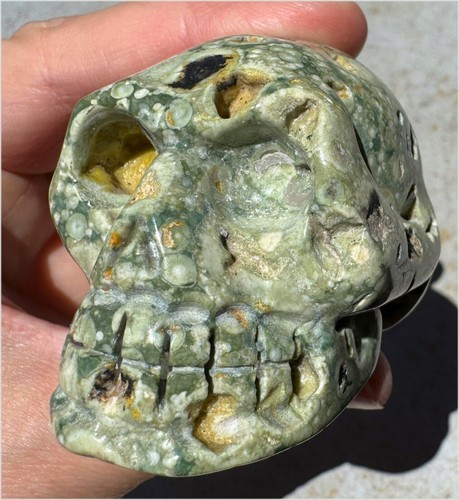 Lg. Rainforest Jasper CRYSTAL SKULL w/ VUGS! - Communication, Resolution