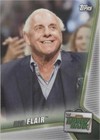 2019 Topps WWE Money in the Bank - Ric Flair #66
