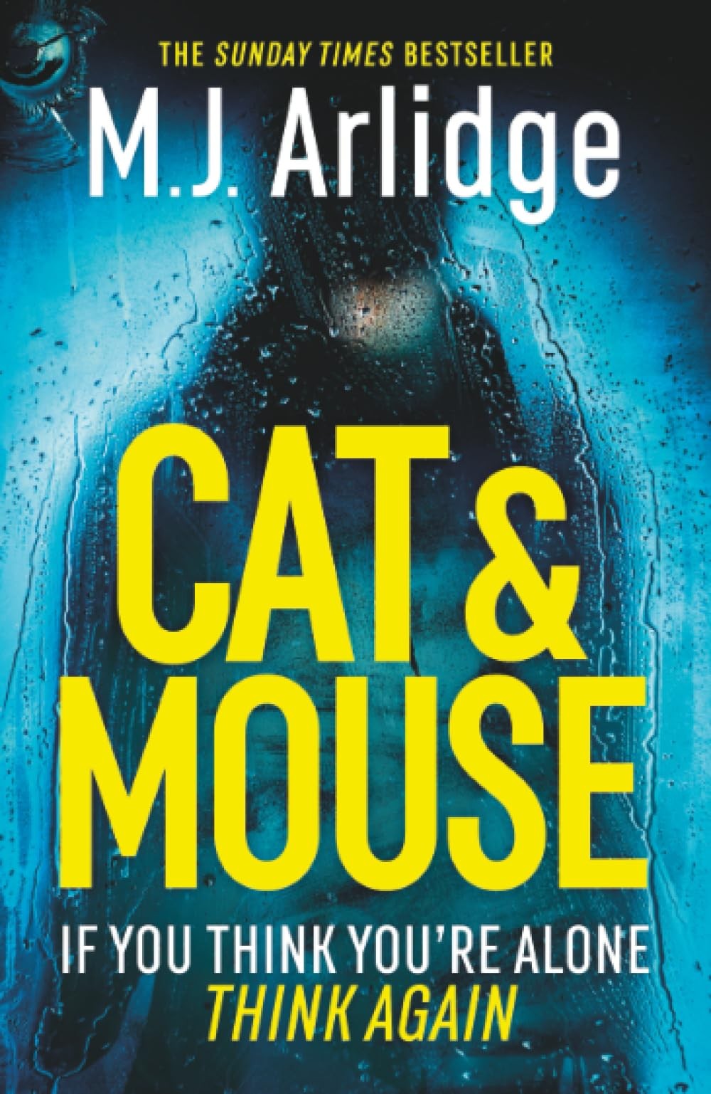 Cat And Mouse: The Addictive and Gripping Crime Thriller of 2026 by M. J. Arlid - Image 3