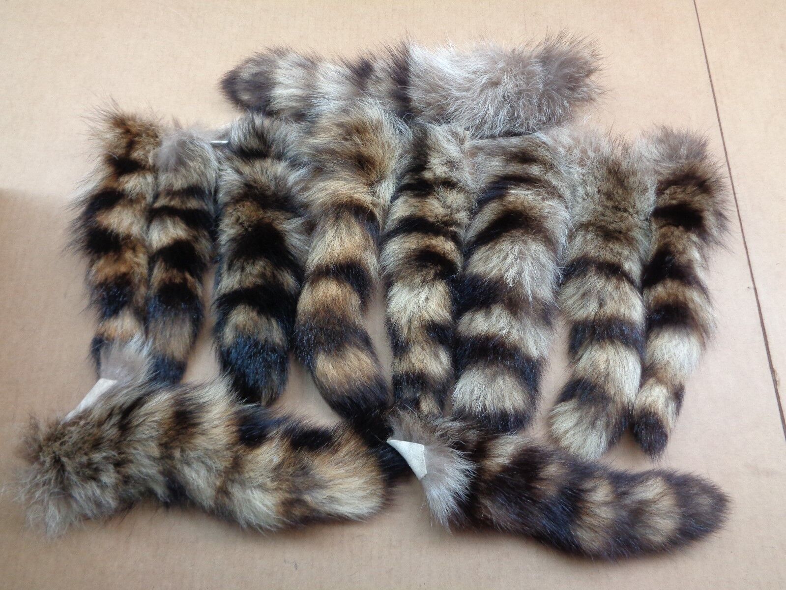 XL Tanned Raccoon Tail/Crafts/Real USA Fur Tail/Harley parts/Coon Tails/Cat Toys