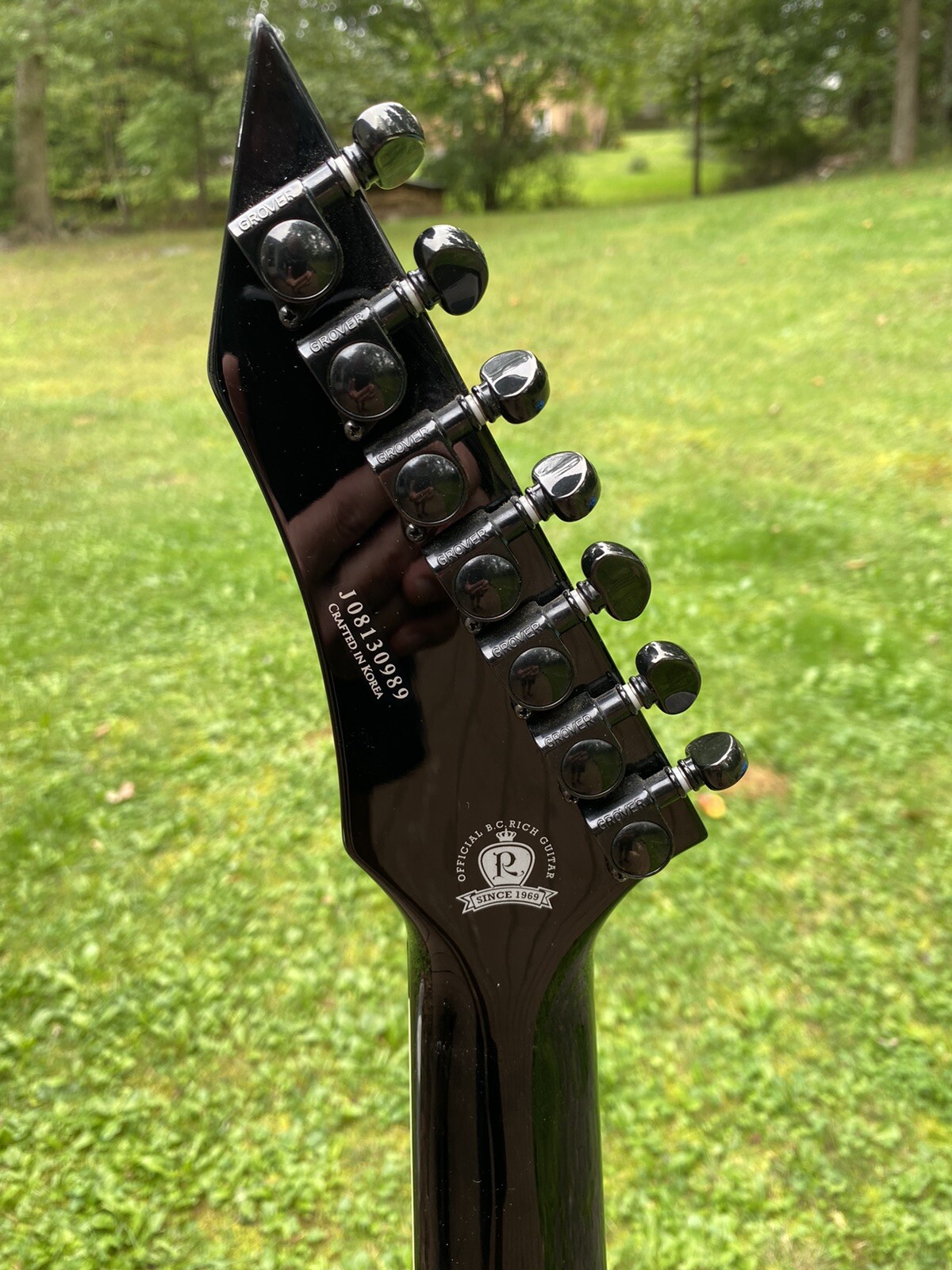 bc rich coffin case