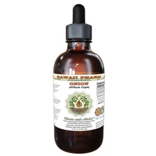 Onion (Allium Cepa) Tincture. Alcohol-FREE. Hawaii Pharm.