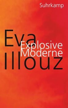 Explosive Moderne: Eine scharfsinnige Analyse unserer em... | Buch | Zustand gut