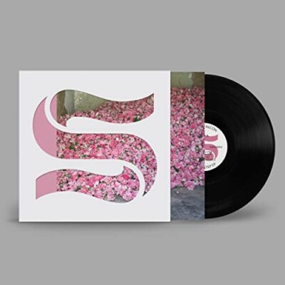 Braxe + Falcon - Step By Step  [VINYL]