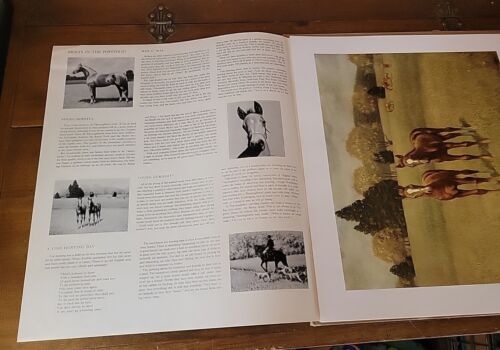 The Look of a Thoroughbred 8 Vntg Horse Prints C.W. Anderson Portfolio Man O War - Picture 3 of 24