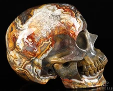 Gemstone 5.0" Red Crazy Lace Agate Hand Carved Crystal Skull, Super Realistic