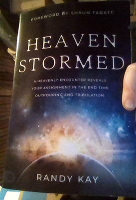 Heaven Stormed : A Heavenly Encounter Reveals Your Assignment