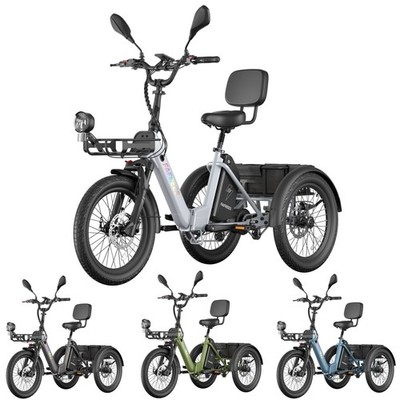  FAFREES F20 Mate II  Elektro Dreirad 20 Zoll mit Korb 3 Räder E-Bike 250W 48V