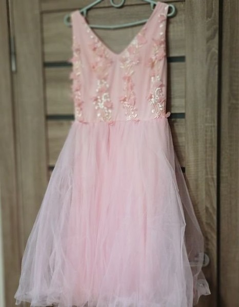 Women Dress Pink Chiffon 38