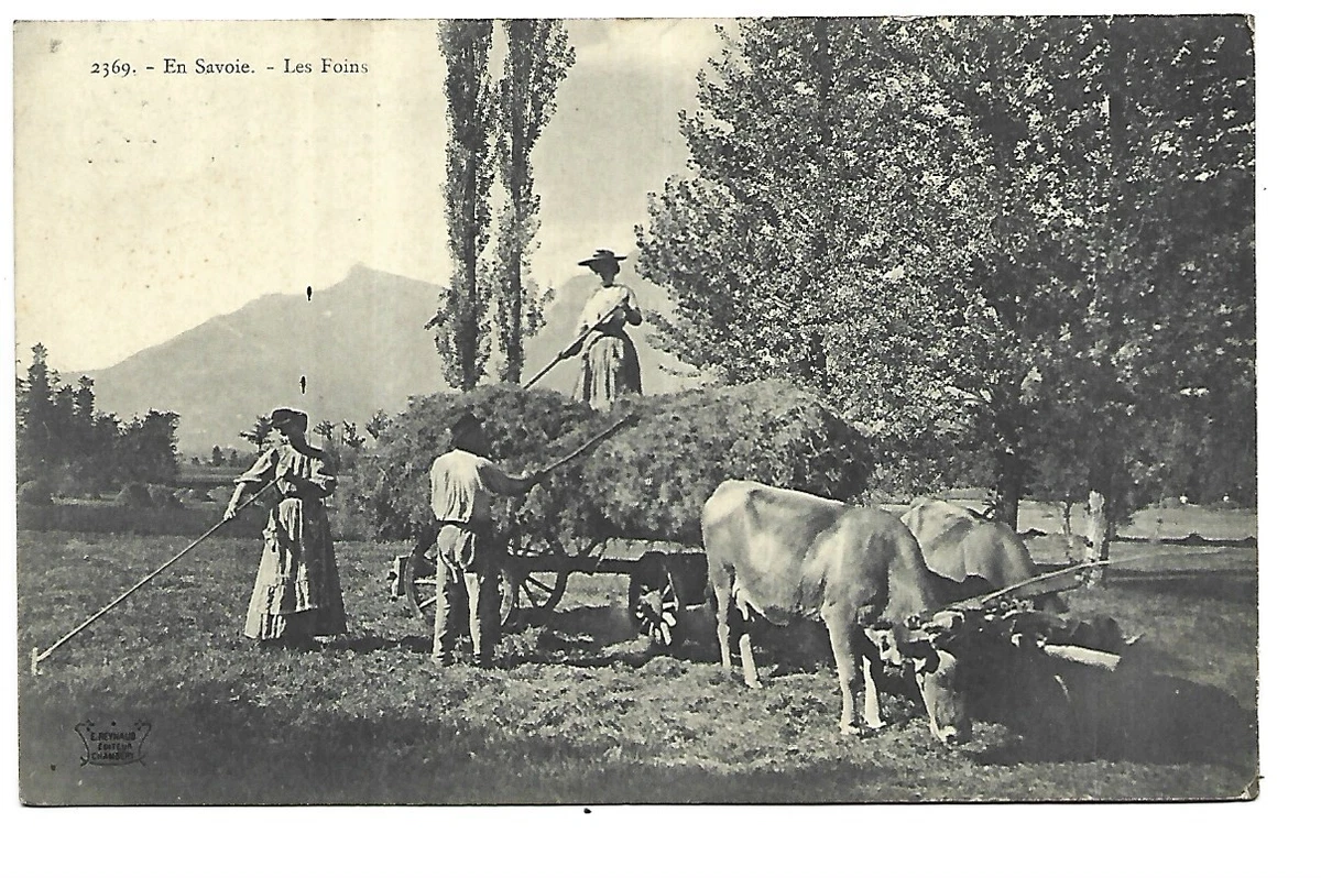 Carte Postale Ancienne Labour Chevaux: Manuskript / Papierantiquität
