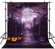 8x8FT Halloween Theme Backdrop Pictorial Cloth Studio Photo Background TP262B