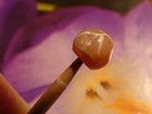 ANCIENT  PYU KUSHAN LINE DECORATED LONGEVITY EYE ROUND AGATE BEAD PERFECT 7.4 MM — photo 4