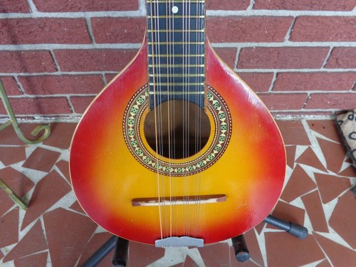 Vintage 12 String Mandolin - Mandriola / Trichord - Picture 2 of 14