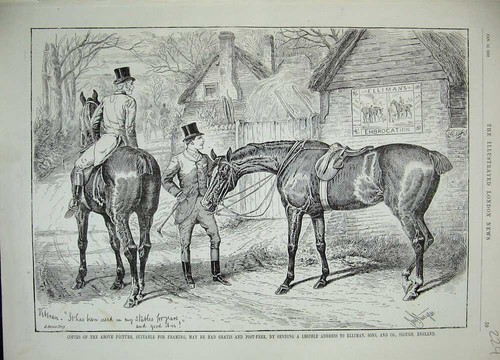 Original Old Antique Print 1889 Advertisment Ellimans Embrocation Horse Sport