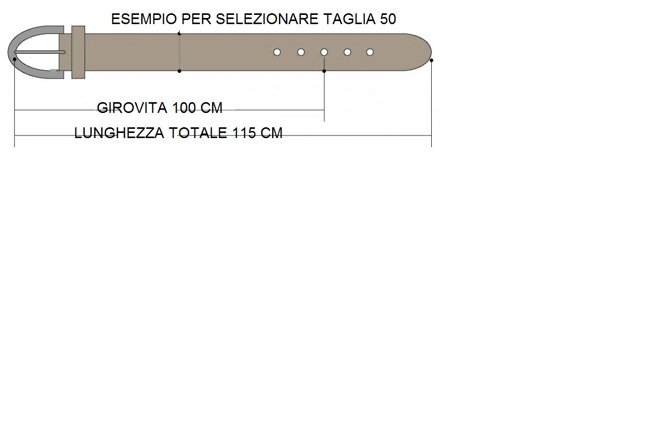 Imagen 42 de 66