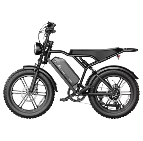 🚴‍♂️ Power E-Bike 250W 48V 15Ah | Fatbike 20" Offroad Doppel-Sitz - Bild 2 von 4
