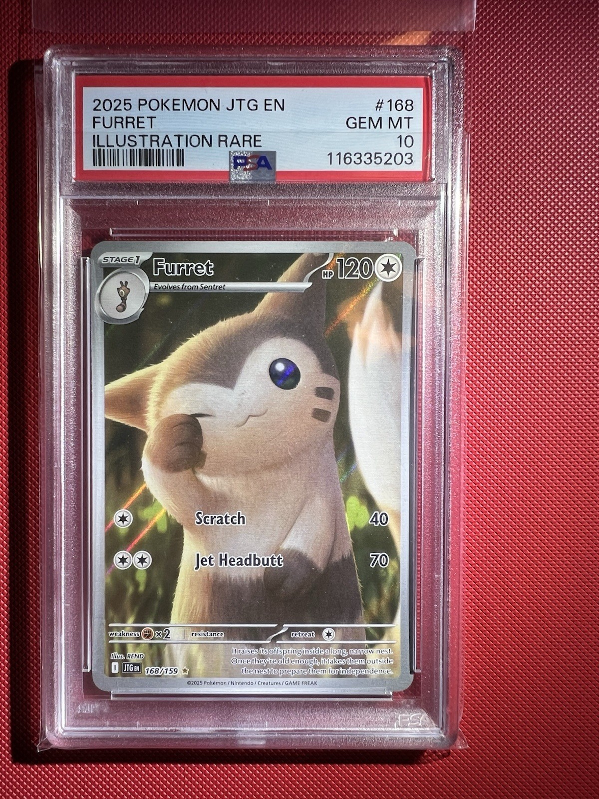 Foto 1 di 4
