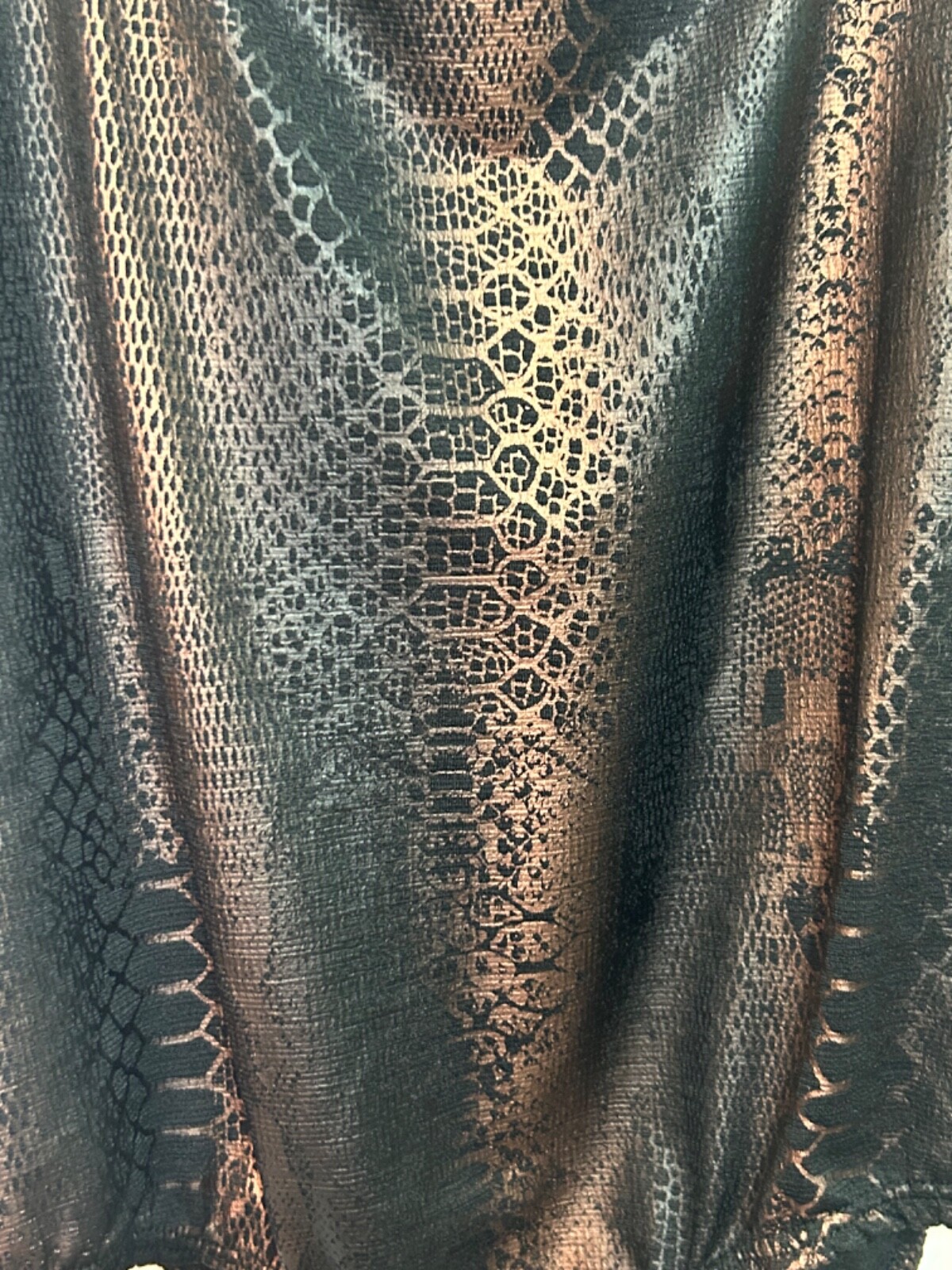 Picture 5 of 7