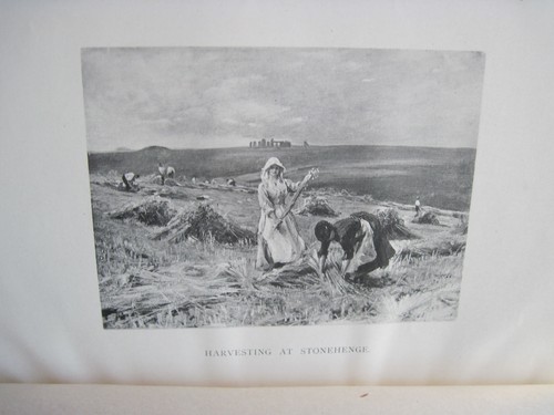 STONEHENGE & ITS EARTH-WORKS by EDGAR BARCLAY 1st Ed. with Illustrations & Plans - Picture 4 of 12